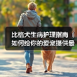 比格犬生病护理指南：全面应对狗狗疾病