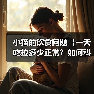 科学喂养小猫：营养、饮食与健康指南