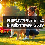 黄泥龟饲养指南：方法与注意事项详解