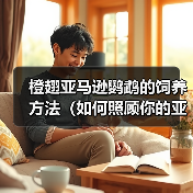 橙翅亚马逊鹦鹉饲养指南：全面照顾技巧