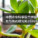 中国农业科学院2026年招聘岗位及流程解析