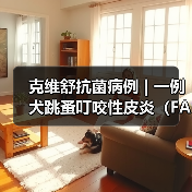 克维舒抗菌病例 | 一例犬跳蚤叮咬性皮炎(FAD)的病例分析(图3) 克维舒抗菌病例 | 一例犬跳蚤叮咬性皮炎(FAD)的病例分析(图3)