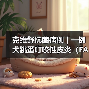 犬类跳蚤叮咬性皮炎诊断与综合治疗策略
