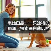 黑脸白身猫咪：外貌特征与饲养要点解析