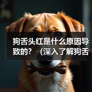 狗舌头发红的常见原因及应对方法
