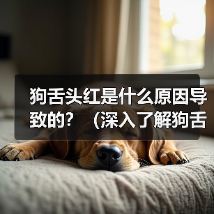 狗舌头红是什么原因导致的?(深入了解狗舌头红的相关问题)(图2) 狗舌头红是什么原因导致的?(深入了解狗舌头红的相关问题)(图2)