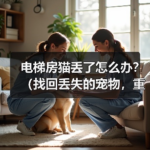 电梯房猫咪丢失应对指南：高效找回方法与措施