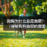 狗狗频繁放臭屁？原因及解决方法解析