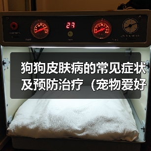 狗狗皮肤病症状及预防治疗全解析