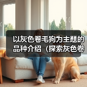 以灰色卷毛狗为主题的品种介绍(探索灰色卷毛狗的独特魅力)(图4) 以灰色卷毛狗为主题的品种介绍(探索灰色卷毛狗的独特魅力)(图4)