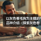 灰色卷毛狗：品种魅力全面解析
