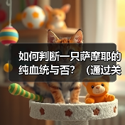 萨摩耶纯血统判断方法：全面解析与实用技巧