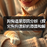 狗狗频繁遗尿原因及科学解决方法