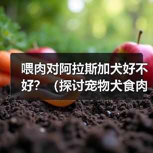 阿拉斯加犬喂肉需注意，科学饮食是关键
