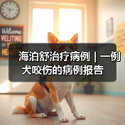 海泊舒治疗病例 | 一例犬咬伤的病例报告(图2) 海泊舒治疗病例 | 一例犬咬伤的病例报告(图2)