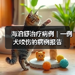海泊舒治疗病例 | 一例犬咬伤的病例报告(图3) 海泊舒治疗病例 | 一例犬咬伤的病例报告(图3)