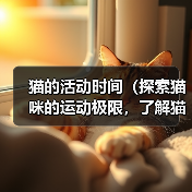 猫的活动时间（探索猫咪的运动极限，了解猫的充沛精力）（图4）