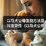 以马犬公母鉴别方法及其重要性（以马犬公母如何区分及其在养殖中的应用）（图3）