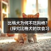 比格犬不吃狗粮怎么办？科学调整饮食指南