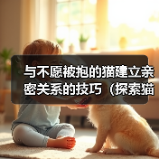 猫咪不愿被抱怎么办？建立亲密关系技巧分享