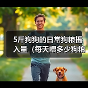 5斤狗狗的日常狗粮摄入量（每天喂多少狗粮才合适？）（图2）