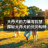 大丹犬厉害之处：力量与智慧的完美结合