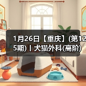 1月26日【重庆】(第125期)丨犬猫外科(高阶)班！含SUB(人人可实操)、乳糜胸等技术！（图4）