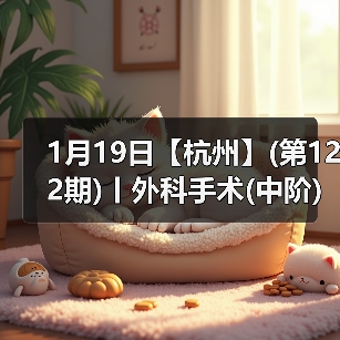 1月19日【杭州】(第122期)丨外科手术(中阶)实战班,2人/组提供一猫一狗,实操超多!(图4) 1月19日【杭州】(第122期)丨外科手术(中阶)实战班,2人/组提供一猫一狗,实操超多!(图4)
