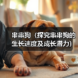 串串狗(探究串串狗的生长速度及成长潜力)(图4) 串串狗(探究串串狗的生长速度及成长潜力)(图4)