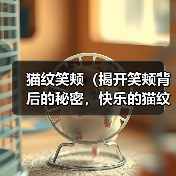 猫纹笑颊（揭开笑颊背后的秘密，快乐的猫纹是关键）（图2）