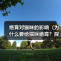 绝育对猫咪的影响（为什么要给猫咪绝育？探讨绝育的利与弊）