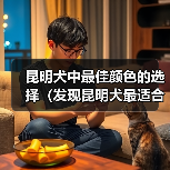 昆明犬中最佳颜色的选择(发现昆明犬最适合的颜色,提供理想的伴侣)(图3) 昆明犬中最佳颜色的选择(发现昆明犬最适合的颜色,提供理想的伴侣)(图3)