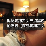 揭秘狗狗舌头三点黑色的原因（探究狗狗舌头黑点的成因与对健康的影响）（图3）