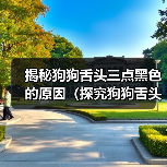 揭秘狗狗舌头三点黑色的原因（探究狗狗舌头黑点的成因与对健康的影响）（图4）