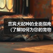 贵宾犬配种的全面指南（了解如何为您的宠物贵宾犬选择合适的伴侣）
