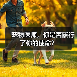 宠物医师，你是否履行了你的使命？（图3）