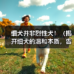 细犬非烈性犬：温和友善的理想伴侣