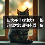 细犬并非烈性犬！（揭开细犬的温和本质，告别误解与偏见）（图3）
