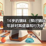 老年猫咪健康长寿关键：16岁是否算老？
