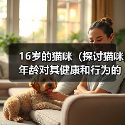 16岁的猫咪（探讨猫咪年龄对其健康和行为的影响）（图3）
