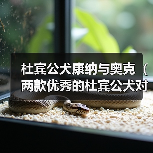 杜宾公犬康纳奥克对比分析：优缺点与选择建议