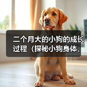 小狗成长阶段：身体与心理发育全解析