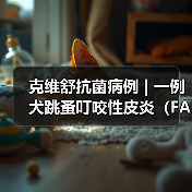 克维舒抗菌病例 | 一例犬跳蚤叮咬性皮炎(FAD)的病例分析(图4) 克维舒抗菌病例 | 一例犬跳蚤叮咬性皮炎(FAD)的病例分析(图4)
