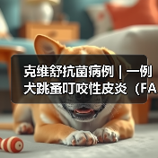 克维舒抗菌病例 | 一例犬跳蚤叮咬性皮炎（FAD）的病例分析