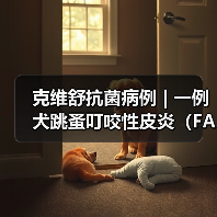 克维舒抗菌病例 | 一例犬跳蚤叮咬性皮炎(FAD)的病例分析(图3) 克维舒抗菌病例 | 一例犬跳蚤叮咬性皮炎(FAD)的病例分析(图3)