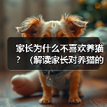 家长为什么不喜欢养猫?(解读家长对养猫的疑虑和顾虑)(图3) 家长为什么不喜欢养猫?(解读家长对养猫的疑虑和顾虑)(图3)