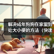 解决成年狗狗在家里到处大小便的方法（快速有效训练狗狗定点排便）