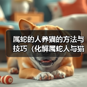 属蛇的人养猫的方法与技巧（化解属蛇人与猫相处的困扰与挑战）（图2）