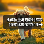 比熊体重与月龄对照表（探索比熊宝宝的生长规律，关注健康饲养）（图4）