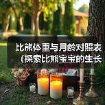 比熊体重与月龄对照表（探索比熊宝宝的生长规律，关注健康饲养）（图2）